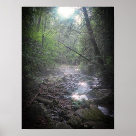 Poster Dreamy Forest Light
