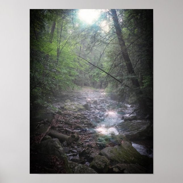 Poster Dreamy Forest Light (Frente)