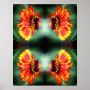 Poster Dreamy Zinnia Flower Abstrato Art