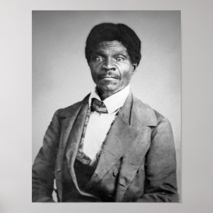 Pôster Dred Scott