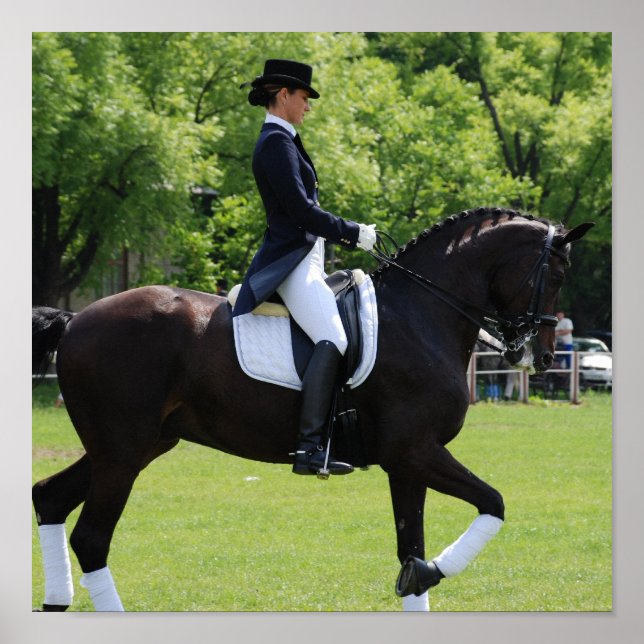 Pôster Dressage Horse Rider Imprimir Tela (Frente)