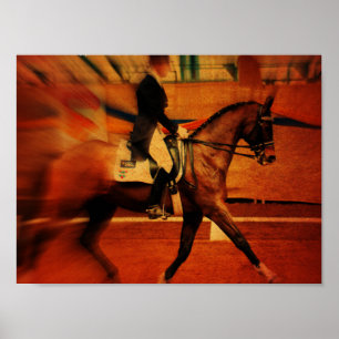 Poster Dressagem