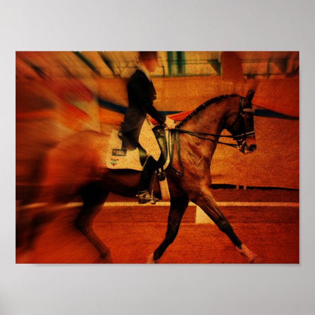 Poster Dressagem (Frente)