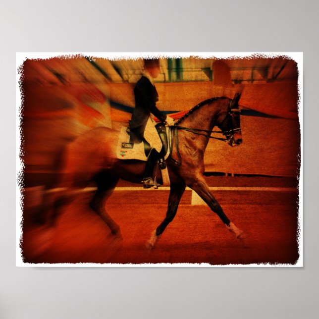 Pôster Dressagem (Frente)