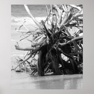 Poster Driftwood Burial