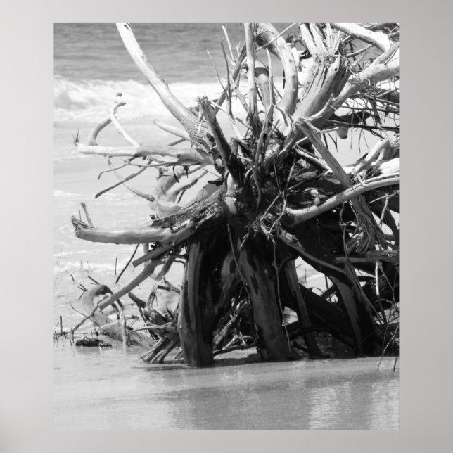 Poster Driftwood Burial (Frente)