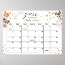 Drive-by Baby Shower Guess Due Date Calendar