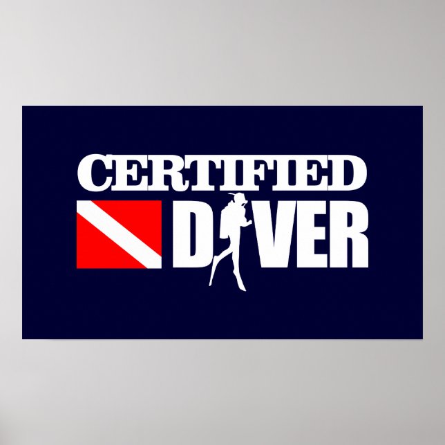 Poster Driver certificado 2 (Frente)