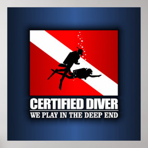 Pôster Driver certificado (Deep End)