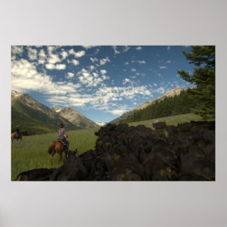 Poster Driving into the Crazy's