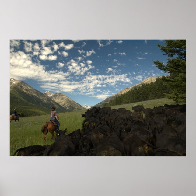 Poster Driving into the Crazy's (Frente)