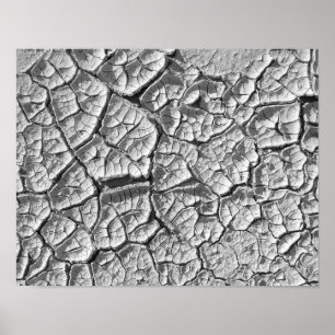 Poster Dry Mud Flat