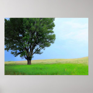 Pôster Dry Storm Sobre Oklahoma Grasslands III (Col. Sat)