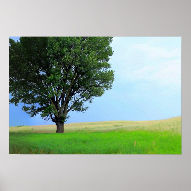 Pôster Dry Storm Sobre Oklahoma Grasslands III (Col. Sat) (Frente)