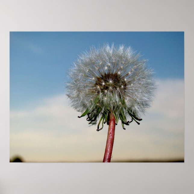 POSTER DSC00033 (Frente)