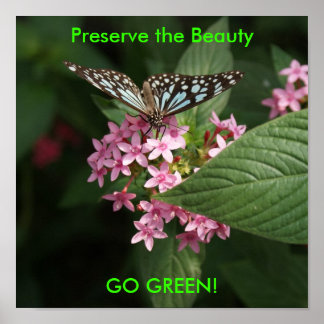 Poster DSC00407, Preservar a Beleza, VÁ VERDE!