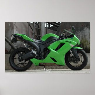 Pôster DSC_0062, Ninja