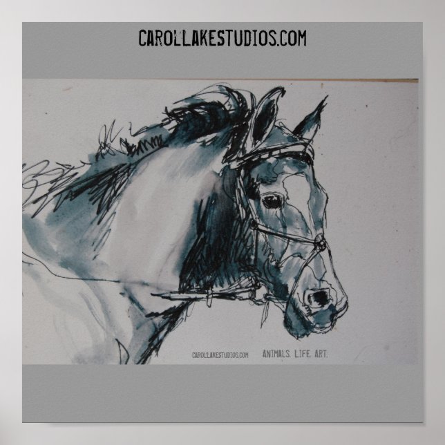 Poster DSC_0462, Animais. A vida. Arte CarolLakeStudio... (Frente)