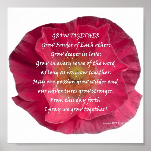 POSTER DSCN0136 (Frente)