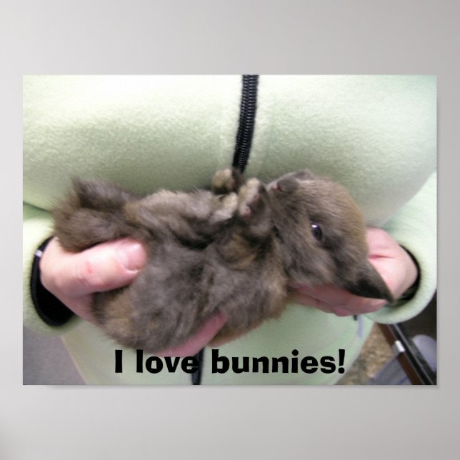 Pôster DSCN0356, adoro coelhos! (Frente)
