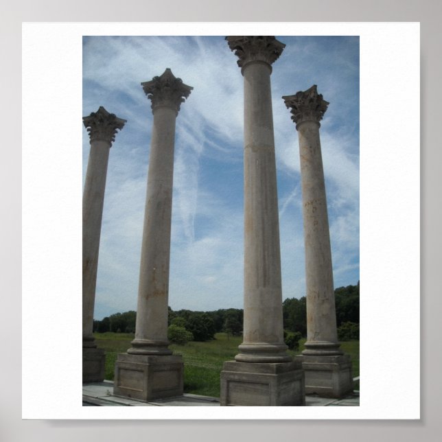 PÔSTER DSCN0470 (Frente)