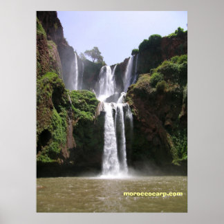 Pôster DSCN9348, moroccocarp.com