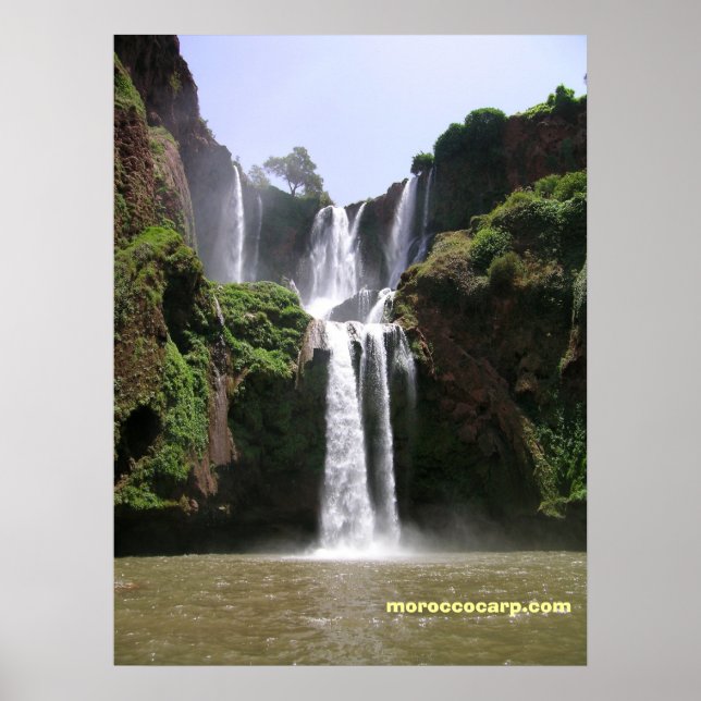 Pôster DSCN9348, moroccocarp.com (Frente)