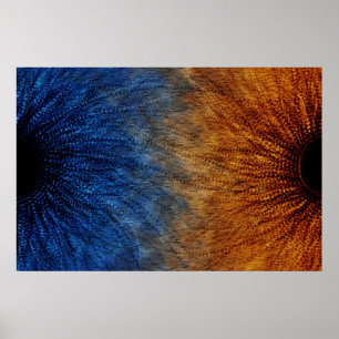 Poster Dualidade