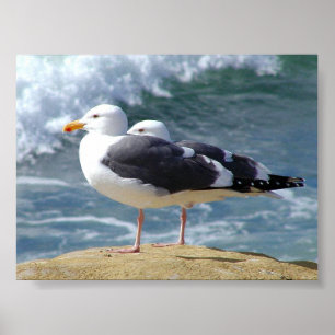 POSTER DUAS ÁGUAS OCEANAS ONDAS DE ONDAS DE PRAIA DE ROC