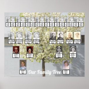 Poster Duas Árvores Familiares Foto de Blossomas   Nome 