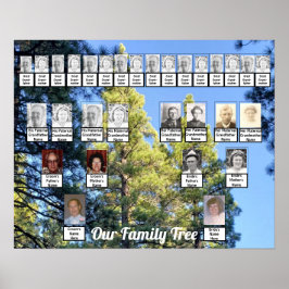 Poster Duas Árvores Familiares Pinheiros Foto | Nome Post
