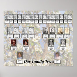 Poster Duas Árvores Genealógicas em Foto de Flores Branca