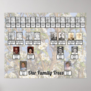 Poster Duas Árvores Genealógicas em Foto de Flores Branca