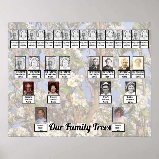 Poster Duas Árvores Genealógicas em Foto de Flores Branca (Frente)