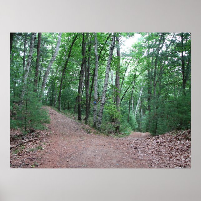 Pôster Duas Estradas Desviam Em Madeira Amarela (Frente)