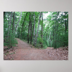 Pôster Duas estradas divergiram em uma madeira amarela