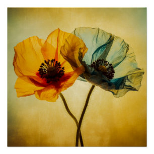 Pôster Duas Flores