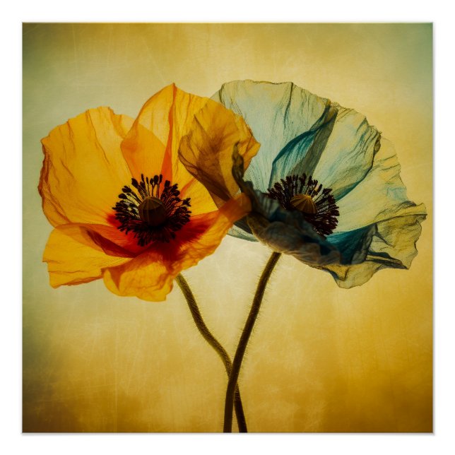 Pôster Duas Flores (Frente)