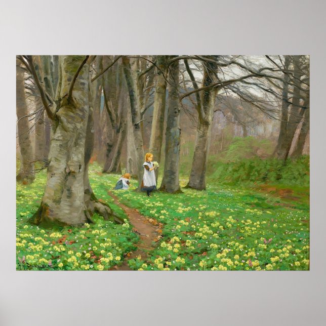 Poster Duas garotas catando flores na floresta de primave (Frente)