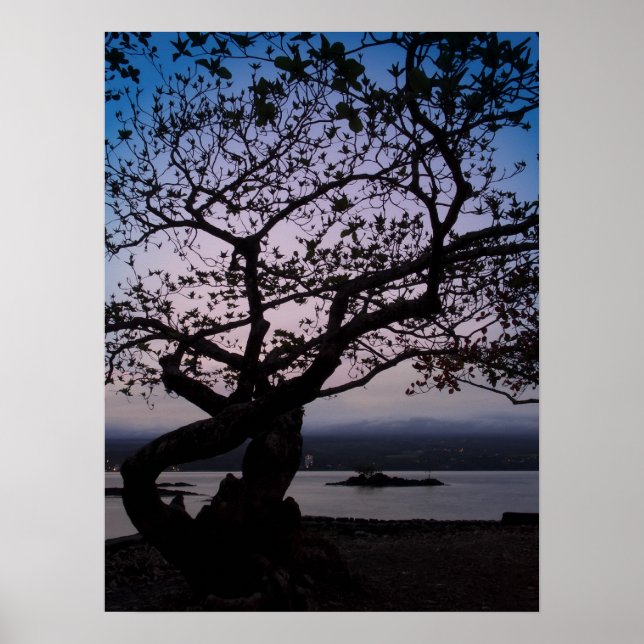 PÔSTER DUAS LUZES NO HILO BAY HAWAII (Frente)