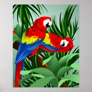 Pôster Duas Macaws Escarlate