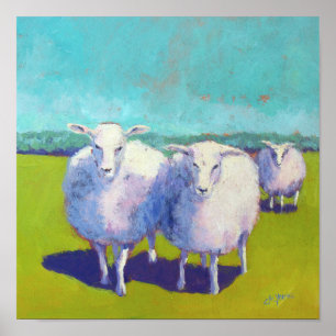 Poster Duas Ovinos No Campo