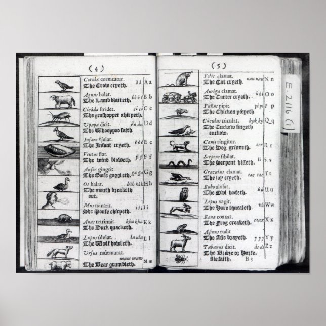 Pôster Duas páginas de 'Orbis Sensualium Pictus' (Frente)