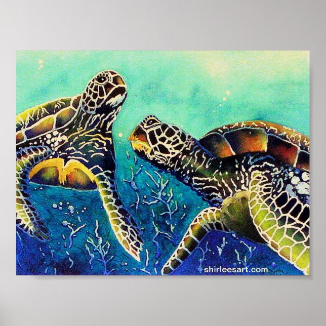 Pôster duas tartarugas (Frente)
