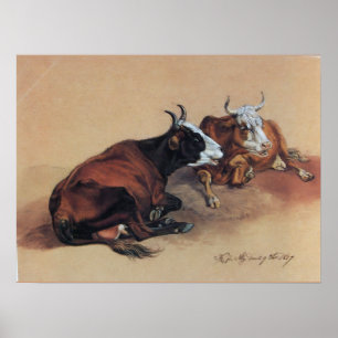 POSTER DUAS VACAS DE MORTE