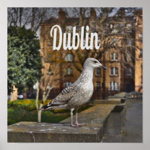 Poster Dublin Irlanda Pássaro em Brick Wall