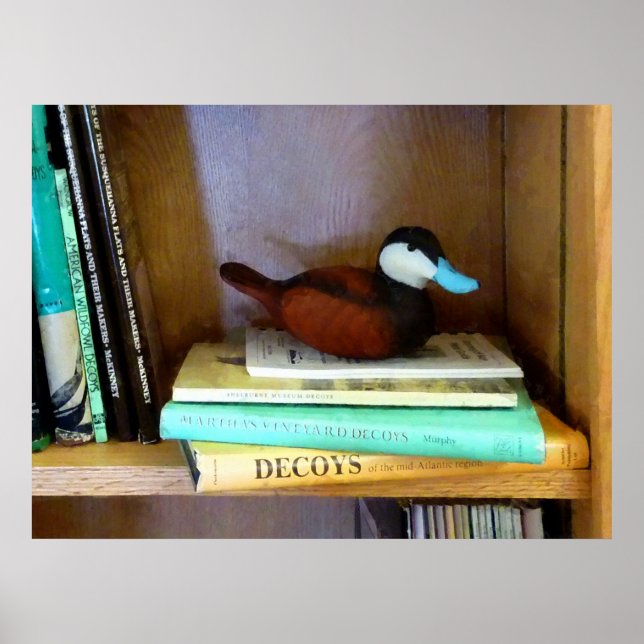 Pôster Duck Decoy em Bookshelf (Frente)