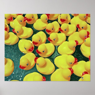 Poster Duckies de borracha