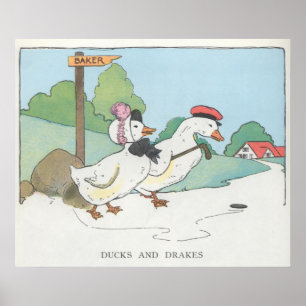 Poster Ducks and Drakes