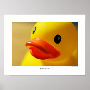Pôster Ducky Amarelo